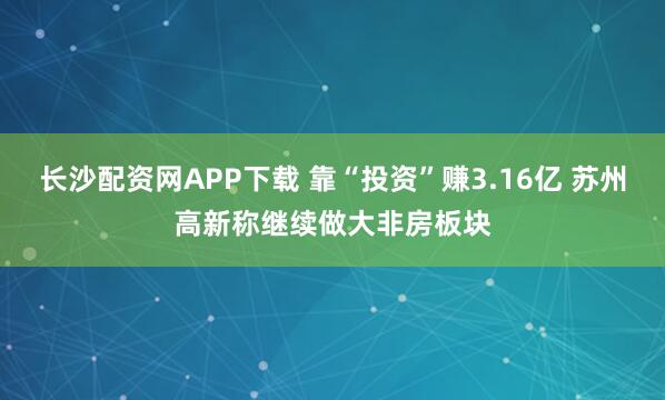 长沙配资网APP下载 靠“投资”赚3.16亿 苏州高新称继续做大非房板块