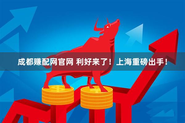 成都赚配网官网 利好来了！上海重磅出手！
